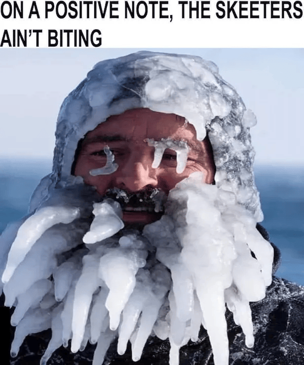 Meme Less Mind Mind-LESS Memes for Stupid Funny Logic Photo Caption 2025 New Picture