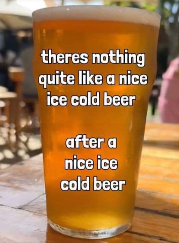 Mind-LESS Memes for Stupid Funny Logic Photo Caption 2025 New Picture