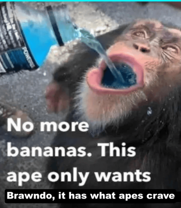 Meme Less Mind Mind-LESS Memes for Stupid Funny Logic Photo Caption 2025 New Picture
