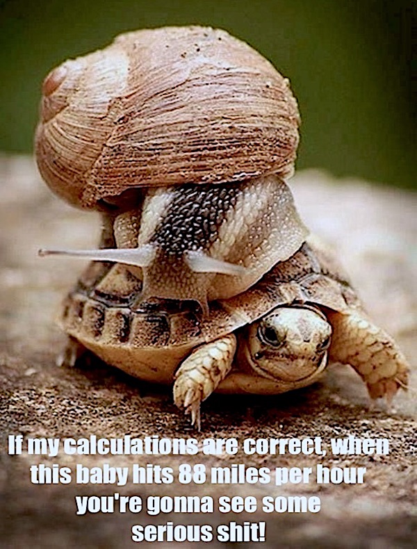 Mind-LESS Memes for Stupid Funny Logic Photo Caption 2025 New Picture