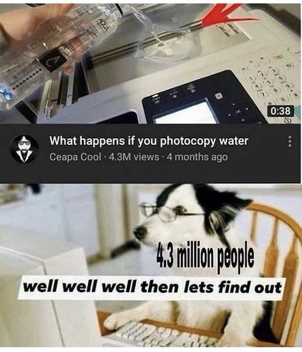Mind-LESS Meme Best Stupid Funny Logic Photo Caption 2025 New Pictures