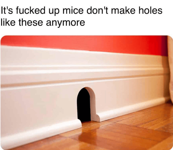 Meme Less Mind Mind-LESS Meme Best Stupid Funny Logic Photo Caption 2025 New Pictures