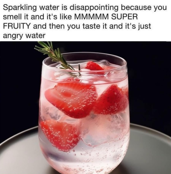 Mind-LESS Meme Best Stupid Funny Logic Photo Caption 2025 New Pictures