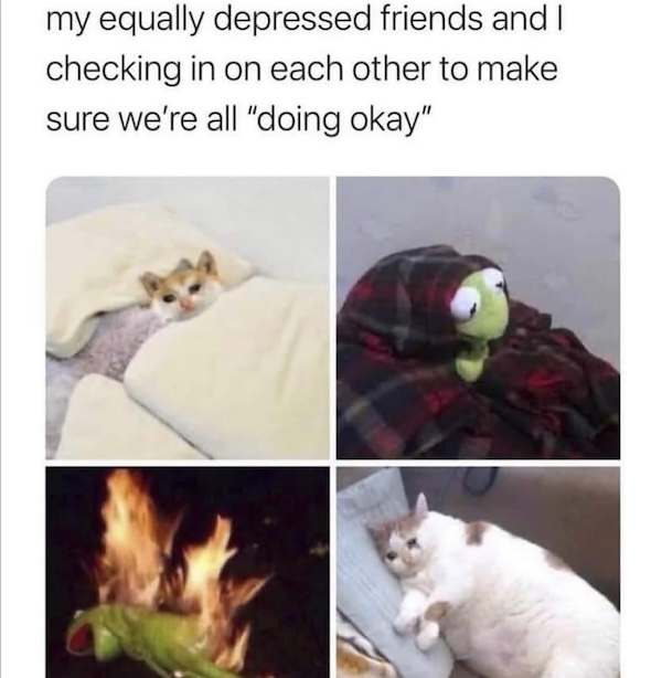 Silly Stupid Memes for Snoozy Saturday Sloths (30 Photos)