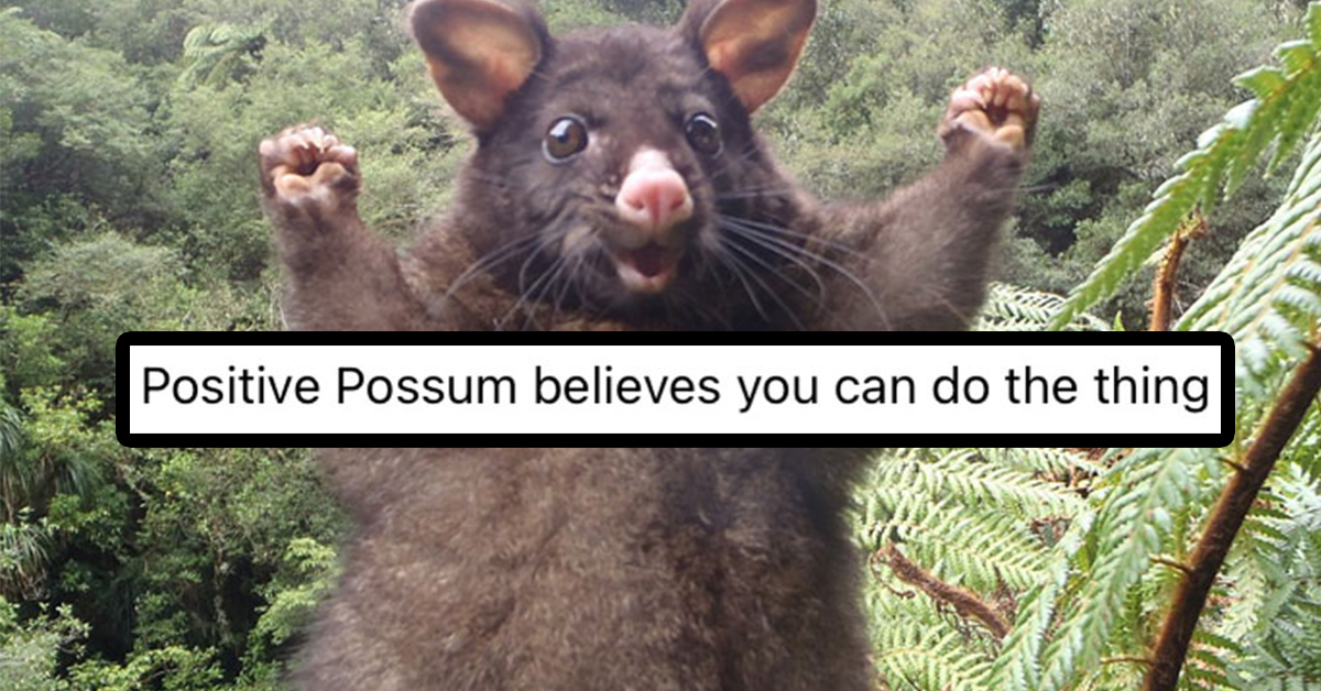 Daily Afternoon Randomness | Random Memes, Photos & Gifs - theCHIVE