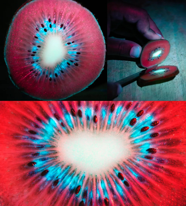 Maybe you would be interested in seeing some... interesting things?