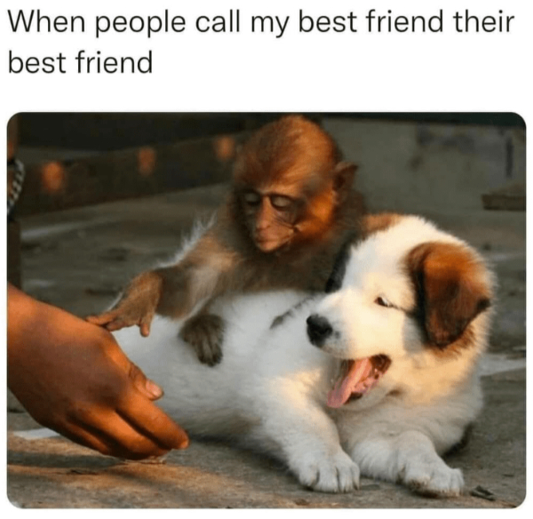 Happy Heartwarming Wholesome Memes