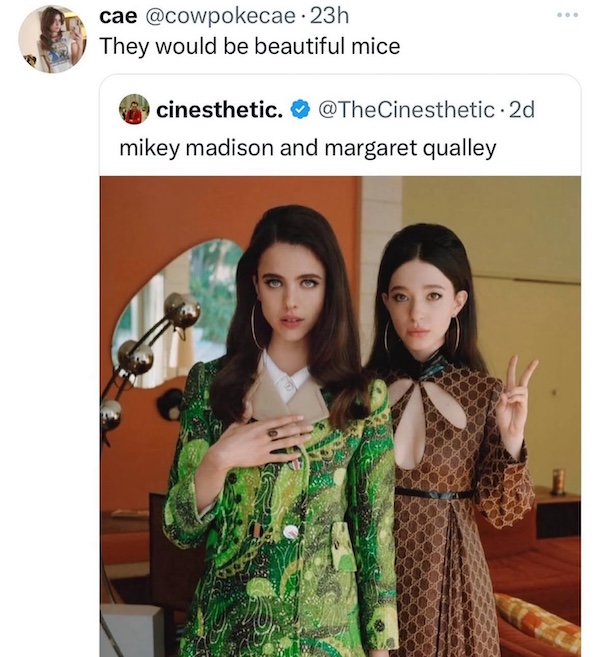 Silly Stupid Memes for Snoozy Sunday Sloths (36 Photos)