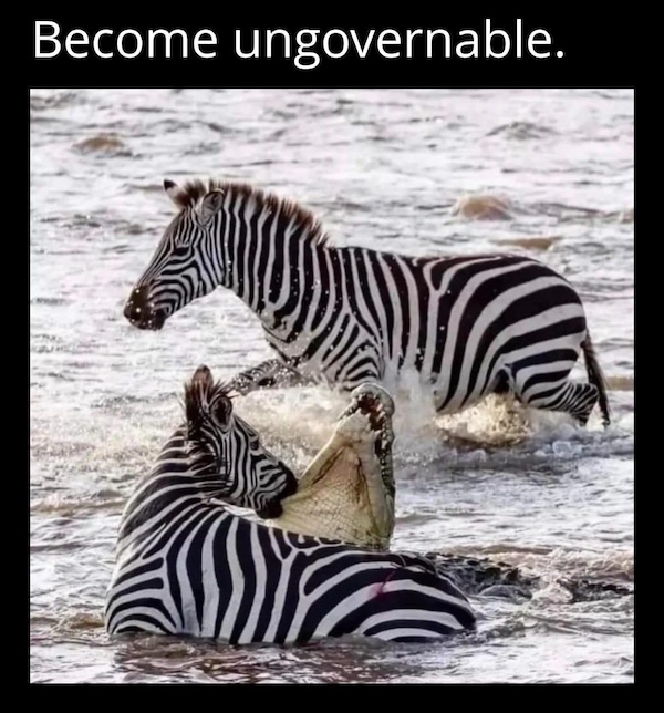 Daily Evening Randomness