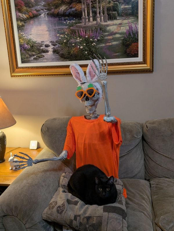 Saturdays Aren’t the Same Without CATS!