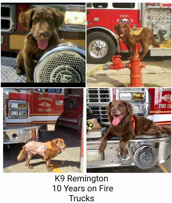 Firefighters Beautiful and Brave Chivers Best Photos Compilation