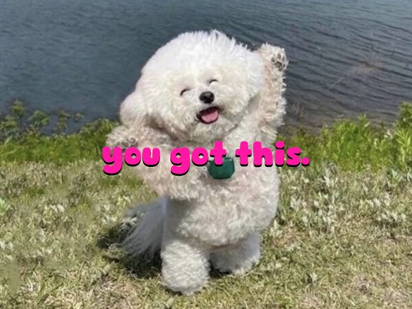 You Got This! Powerful Positivity for Big Friday Feels (32 Photos)
