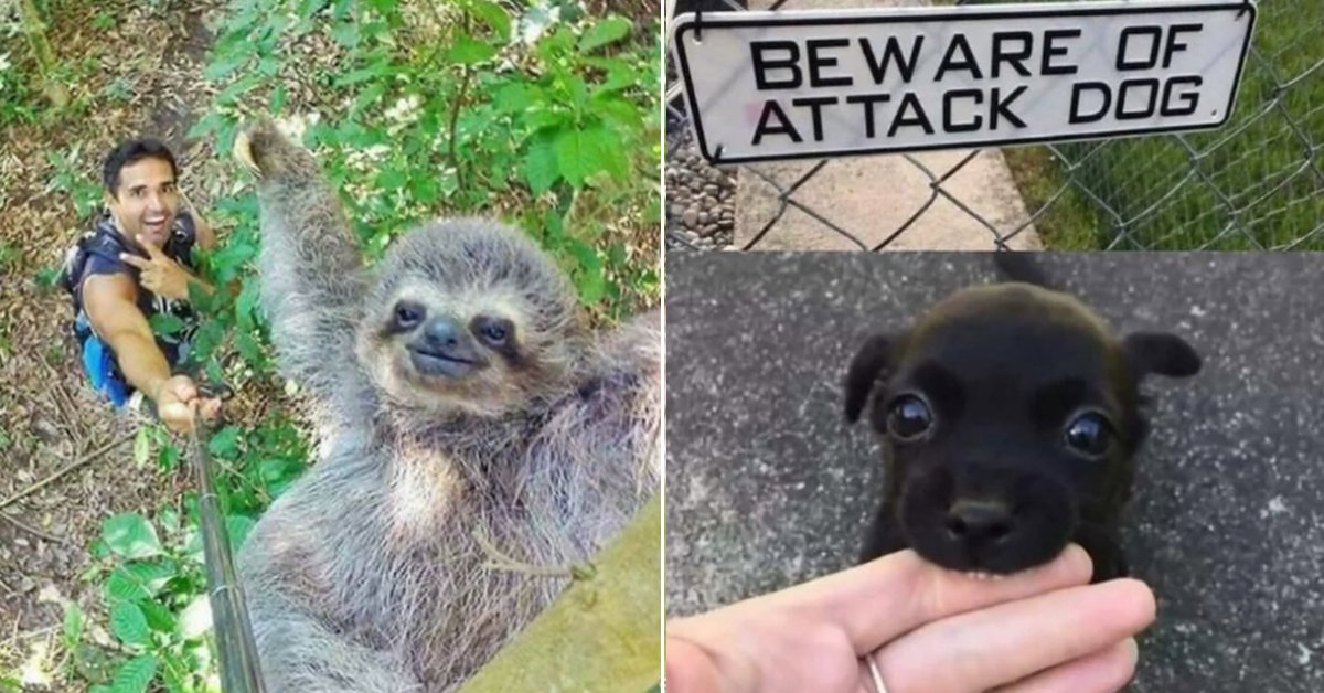 You Got This! Powerful Positivity For Big Friday Feels (38 Photos)