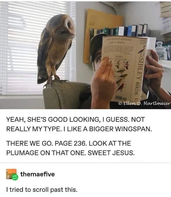 Daily Evening Randomness