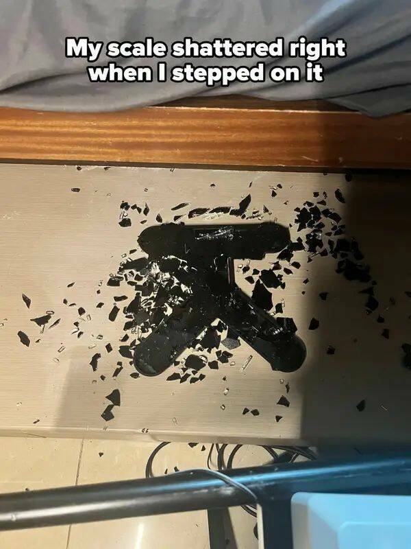 A collection of images so depressing all one can do is laugh