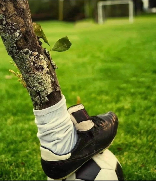 podborka-prikolnyx-kartinok-37_0bc20f.jpg?attachment_cache_bust=4967175&quality=85&strip=info&w=600