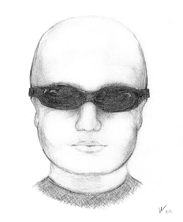 'Pencils Down!': 25 ridiculous police sketches drawn by professionals