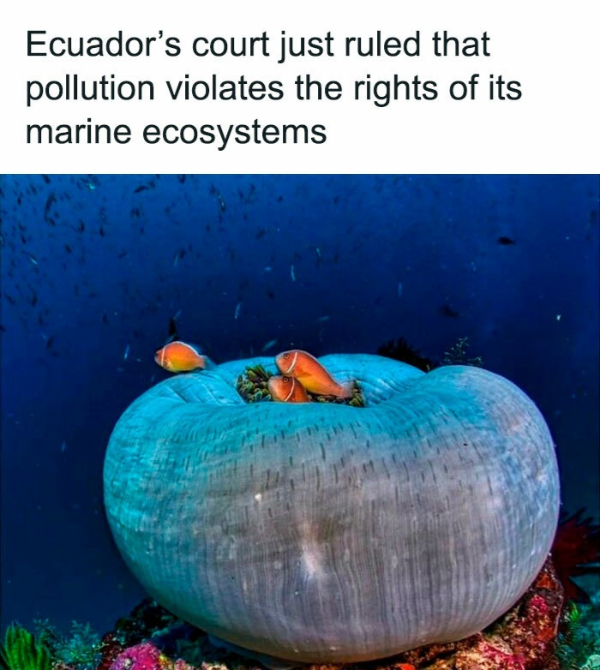 Good News Around the Globe Is Just What You Need