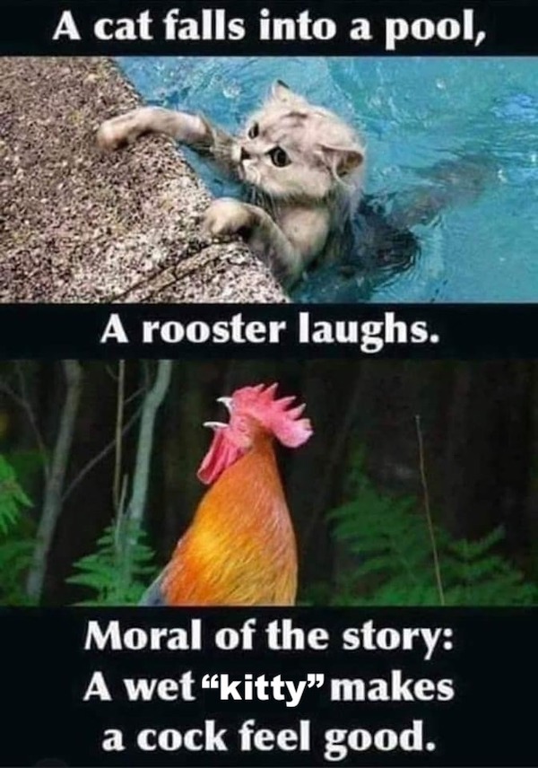 PG-13 Memes for Dirty Minded R-rated Pictures SFW funny Photo Captions