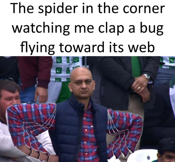 A Day Without Dank Memes Is a Sad Day