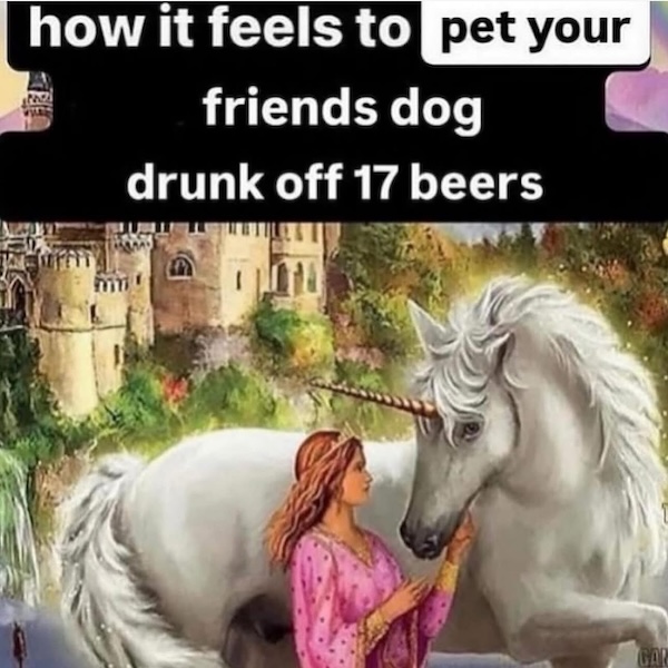 Daily Evening Randomness (Nightcap)