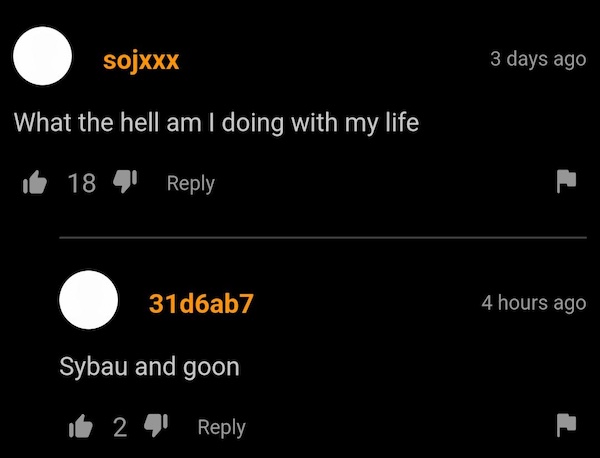 P*rnhub's Comment Section Is A Seriously Strange Place...