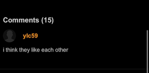 P*rnhub's Comment Section Is A Seriously Strange Place...