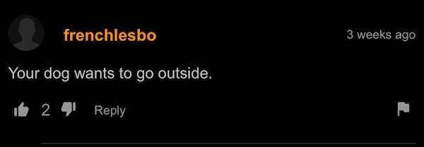 P*rnhub's Comment Section Is A Seriously Strange Place...