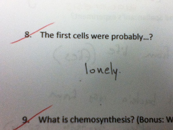These Hilarious Test Answers From Kids Deserve a Slow Clap (41 Photos)