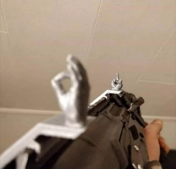 Armed and Dangerously Stupid