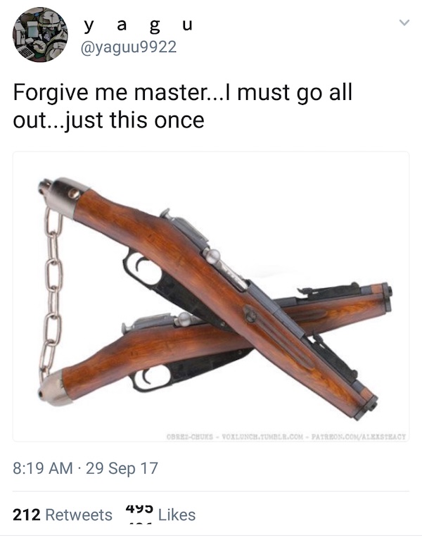 Armed and Dangerously Stupid