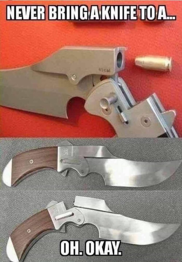 Armed and Dangerously Stupid
