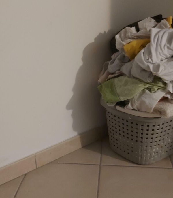 Bizarre shadows are showing off sights and images we cannot mistake