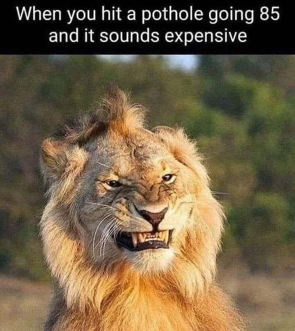 Mind-LESS morning Memes are Funny Stupid yet Too TRUE Monday Sucks