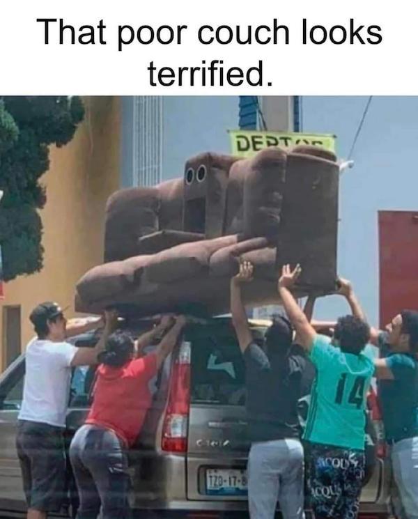 Memes lack Logic…yet…SPOT ON (43 Photos) theCHIVE