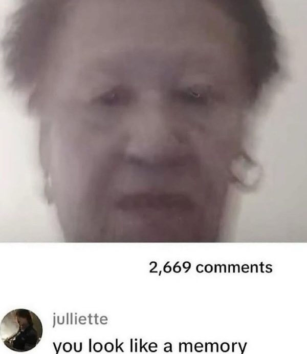 Silly Stupid Memes for Snoozy Saturday Sloths (33 Photos)