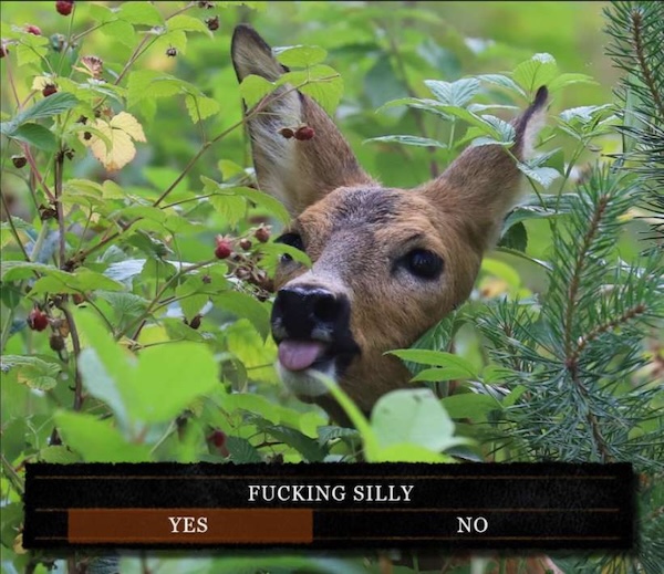 Daily Evening Randomness (Nightcap)