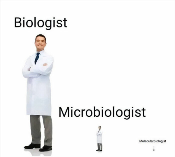 Hard to Dispute science...memes. But Easy to Laugh!