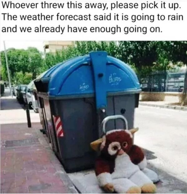 Images so sad they're almost funny to look at