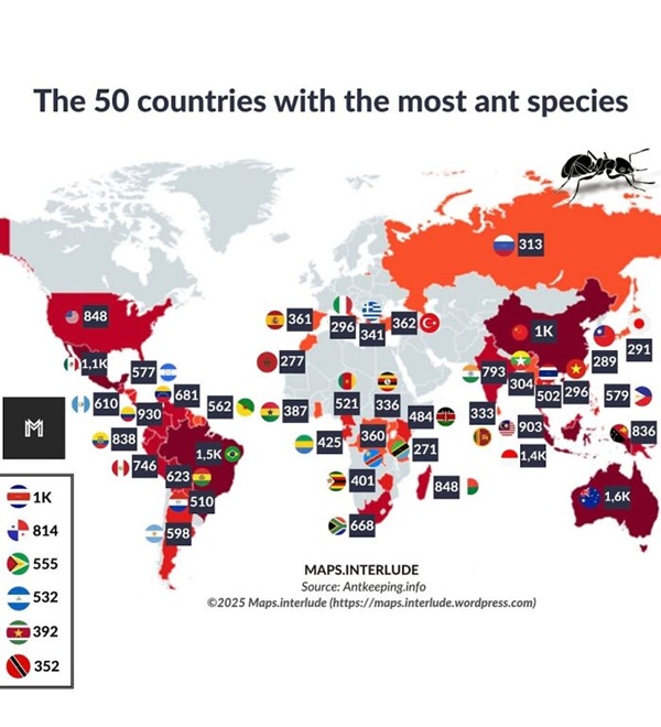 Maps & Infographics Are GREAT for Learning!