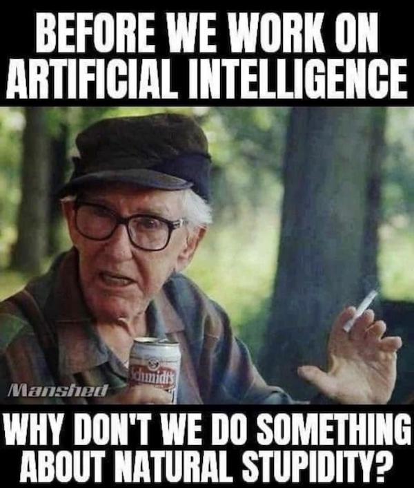 NAILed IT Memes Best Mindless Dumb Logic Best Funny Captions Pic 2025