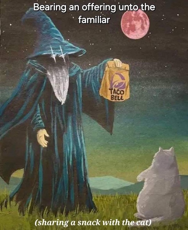 Daily Evening Randomness (Nightcap)