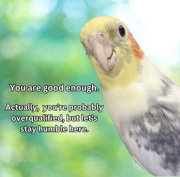 Daily Evening Randomness (Nightcap)