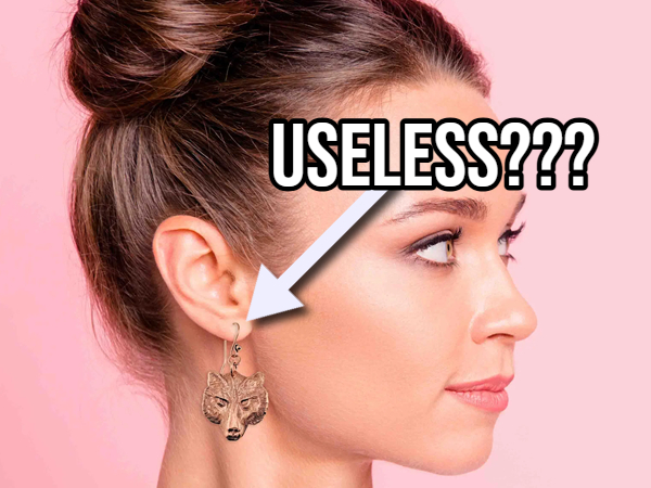 Random Facts Keep the Mind Sharp (20 Photos)