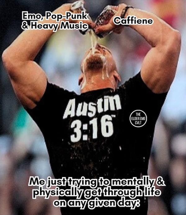 25 Emo Memes for Pop Punk Professionals