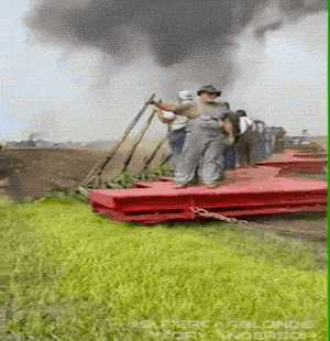 GIFs packed full of AWESOMENESS theCHIVE