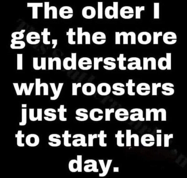 Too TRUE memes Funny Simple yet Stupid Logic List Funny Photo Captions