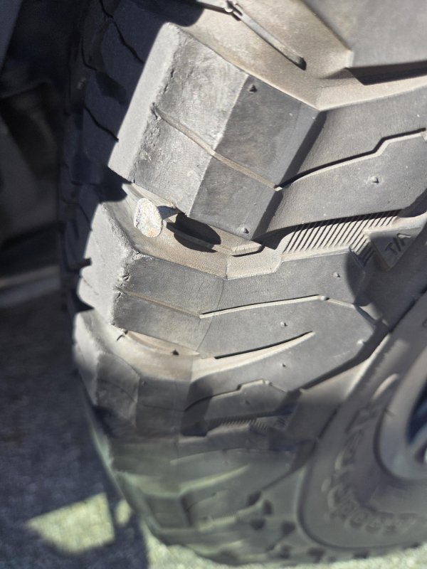 They Tried Their Best… But Life Said ‘Nah’