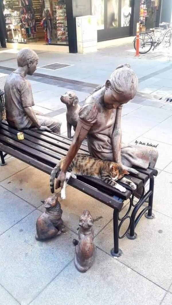 Daily Afternoon Randomness