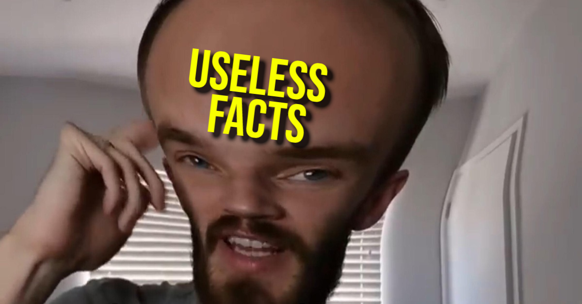 Random Facts You’ll Forget Immediately